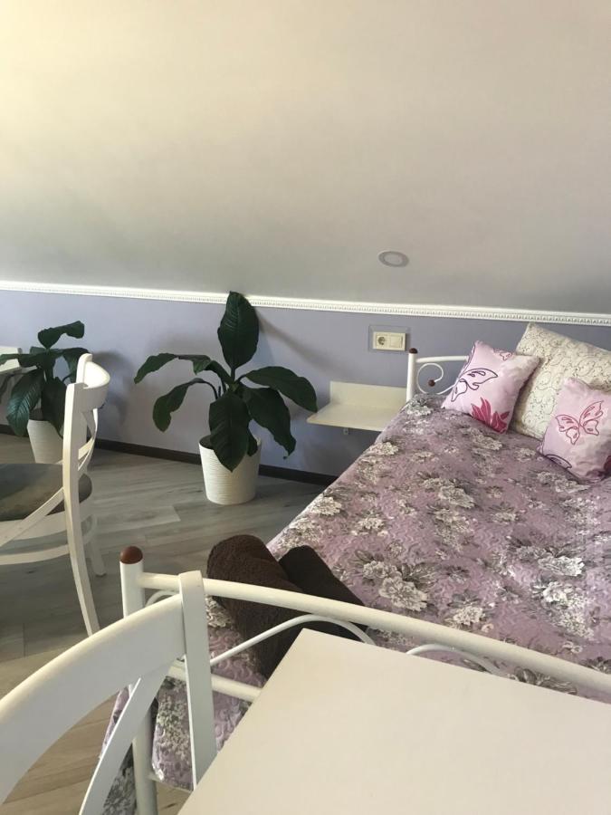 Villa Galicia Berehove  Εξωτερικό φωτογραφία