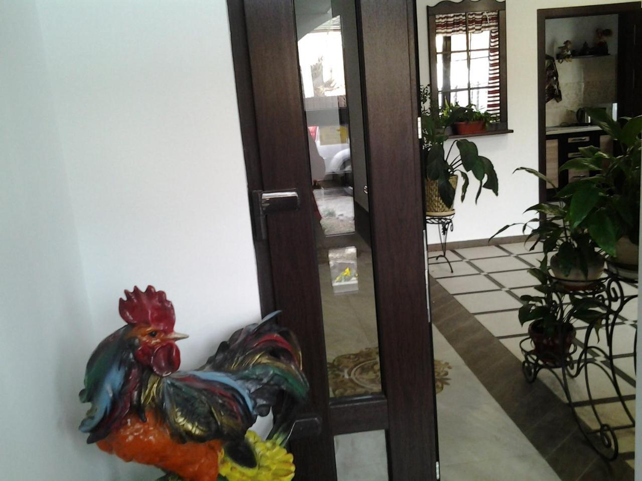 Villa Galicia Berehove  Εξωτερικό φωτογραφία