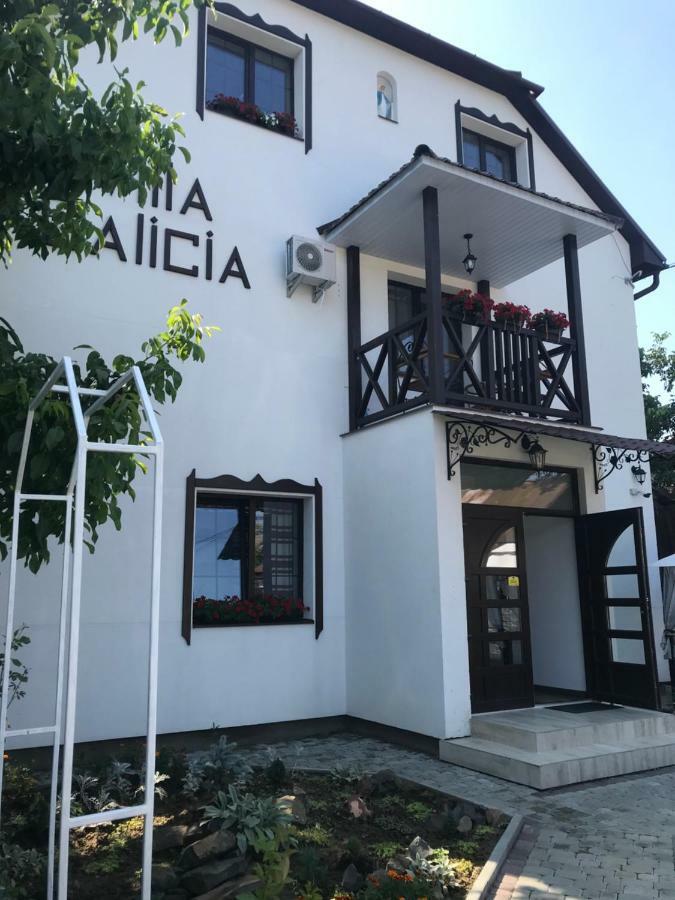 Villa Galicia Berehove  Εξωτερικό φωτογραφία